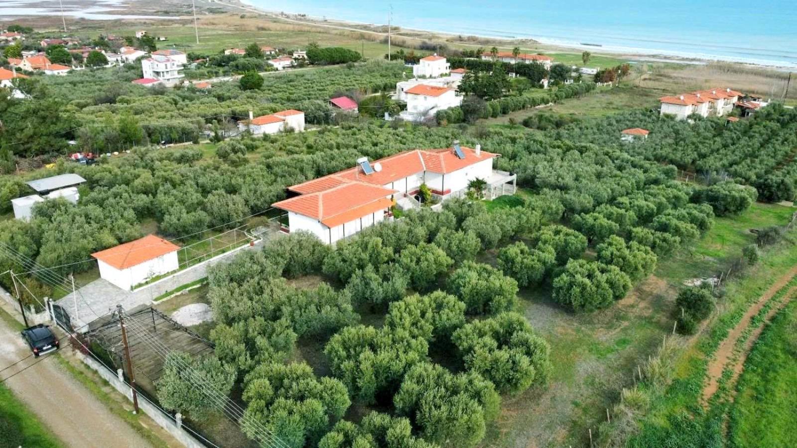 Apartamento Kalelia Nea Poteidaia Exterior foto
